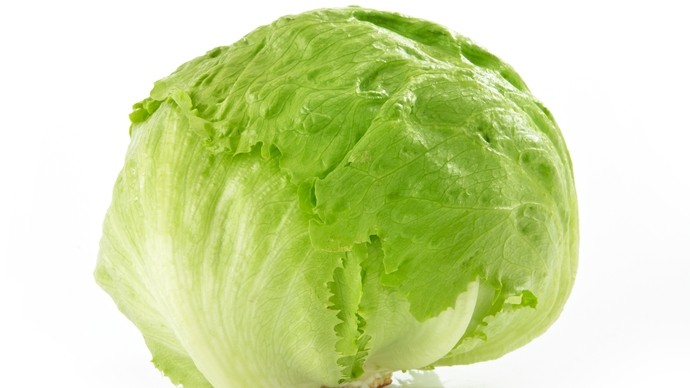 Whole head of crispy lettuce