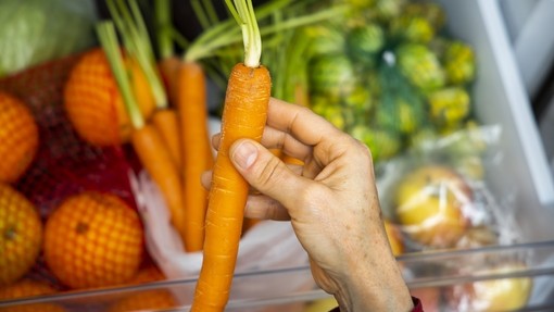 A person taking a carrot out of the fridge
