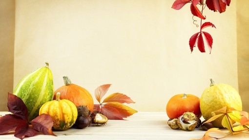 Pumpkins of different sizes arranges around red autumn leaves