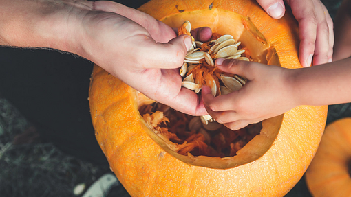 Preparing a Pumpkin by taking the insides out
