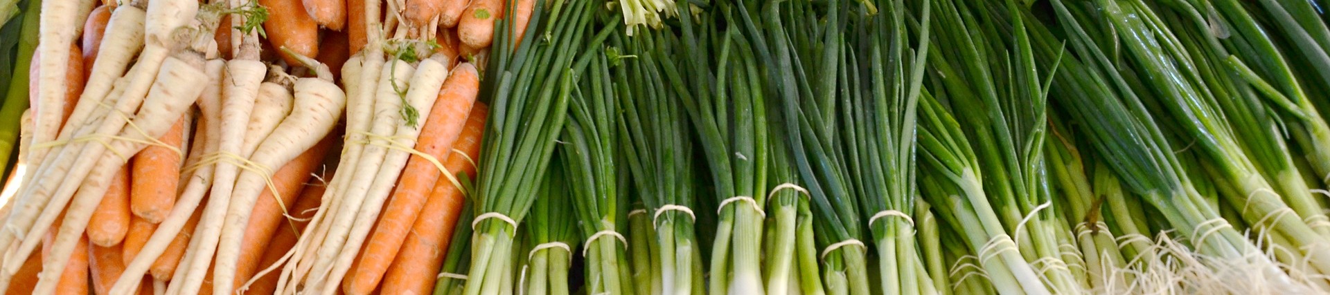 Spring onions, carrots, raddishes and parsnips at a market stall